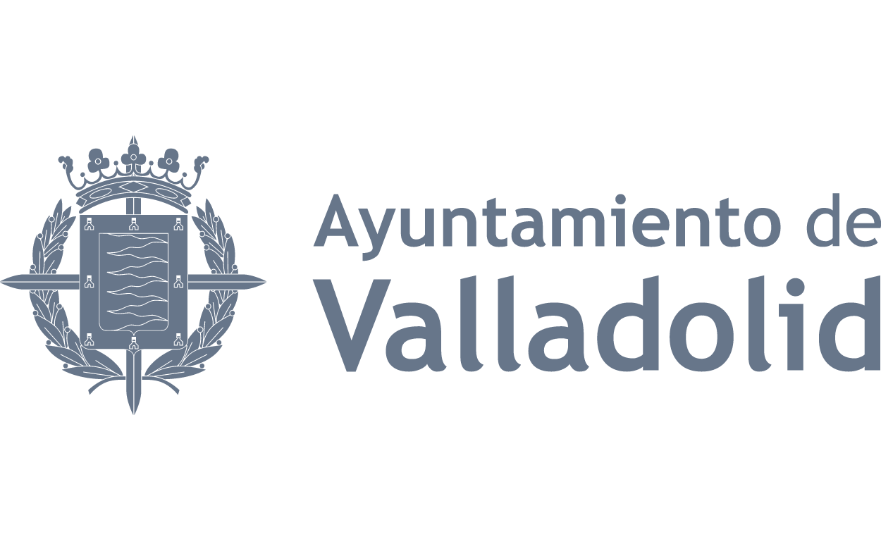 3. Ayuntamiento Valladolid